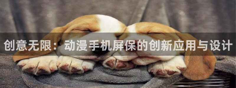 囧次元官方正版网站：创意无限：动漫手机屏保的创新应用与设计