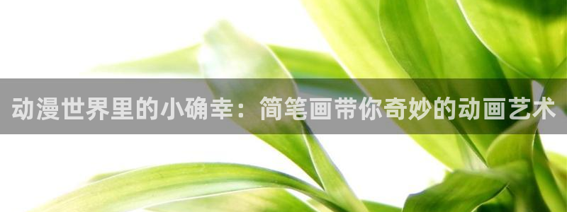 囧次元app官方正版：动漫世界里的小确幸：简笔画带你奇妙的动画艺术