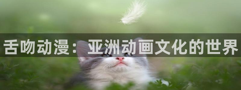 囧次元动漫：舌吻动漫：亚洲动画文化的世界