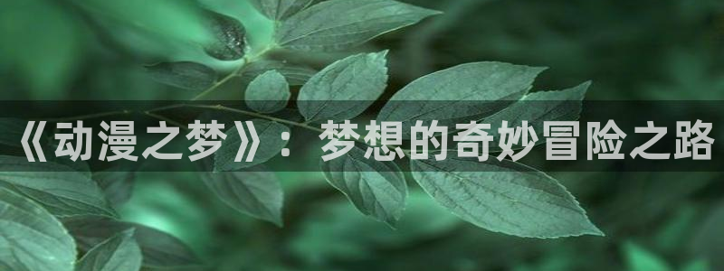 囧次元网站入口