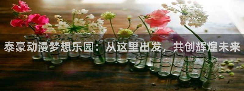 囧次元官网入口网址