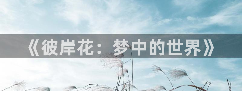 囧次元app最新版本