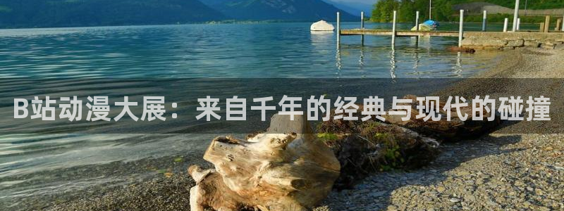 囧次元官方下载