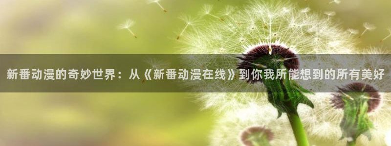 囧次元app下载官网