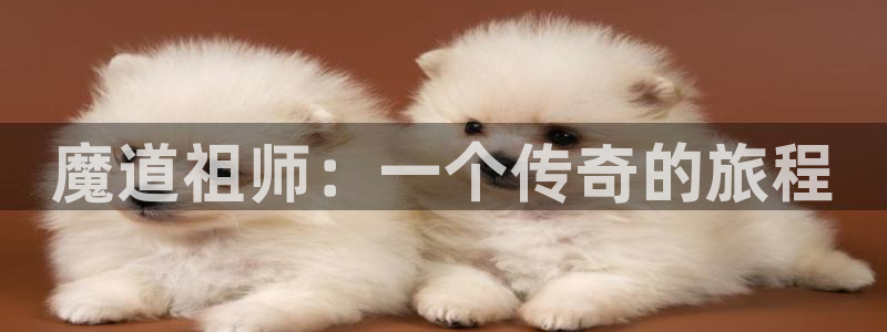 囧次元最新版本