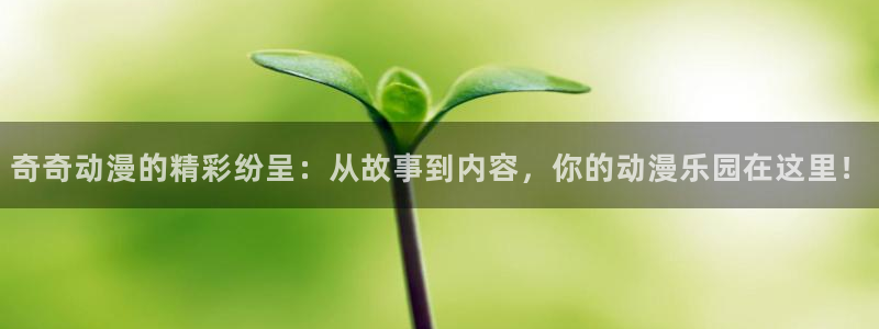囧次元官方网