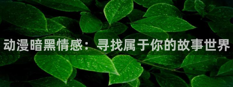 囧次元官方正版官网入口