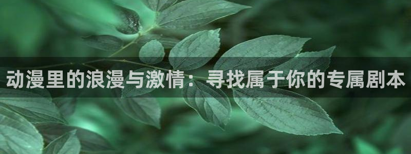 囧次元 翻译