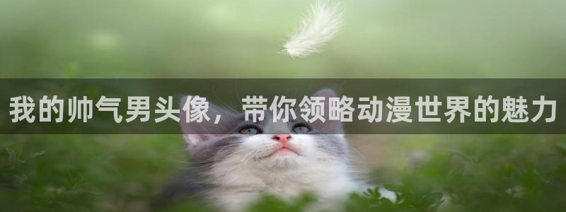 囧次元官方正版app