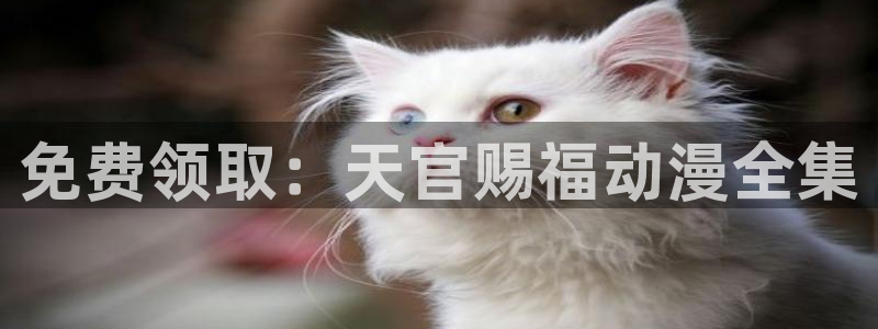 囧次元官方网站