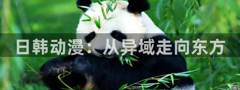 囧次元网页版进入