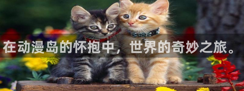 囧次元app官方正版