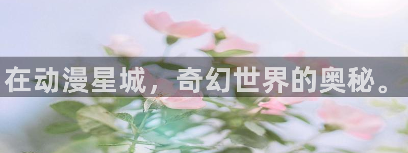 囧次元正版免费下载