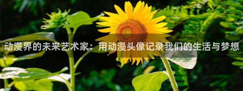 囧次元正版app下载入口