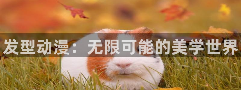 囧次元app官网下载：发型动漫：无限可能的美学世界