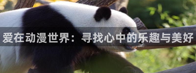 囧次元在线观看