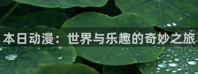 囧次元老版本