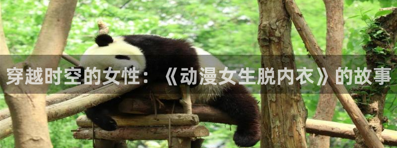 囧次元新版下载