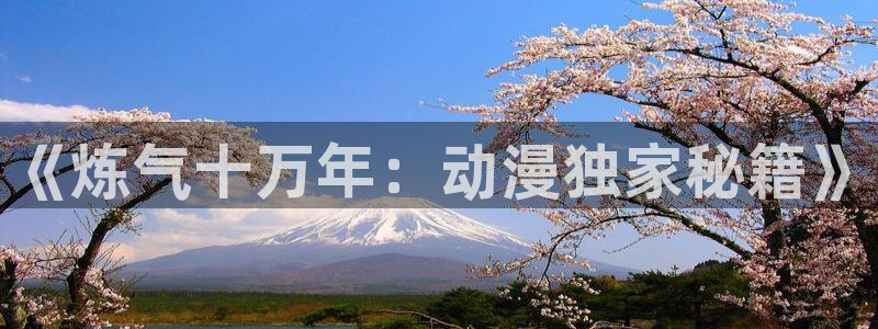 囧次元下载