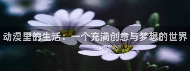 囧次元官方版
