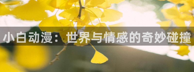 囧次元最新下载链接