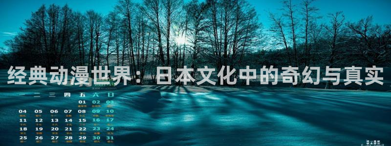 囧次元下载最新版本