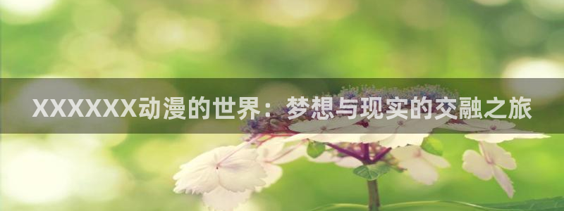 囧次元是哪个公司的