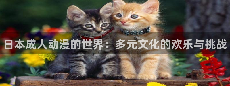 囧次元网页