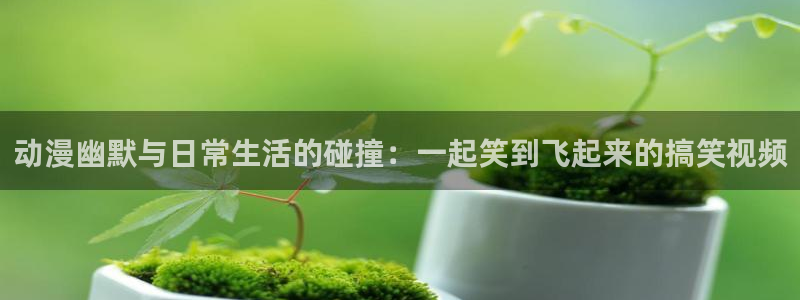 囧次元官网官方入口