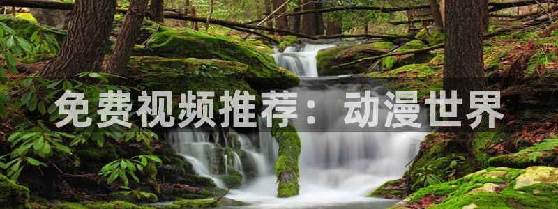 囧次元正版入口