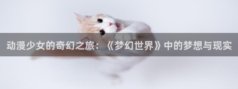 囧次元免费版