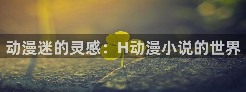 囧次元新版本下载