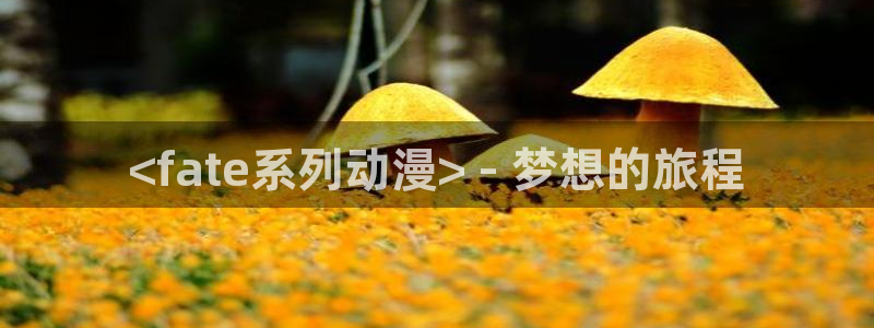 囧次元官方官网