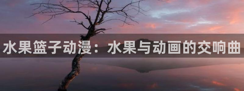 囧次元app入口