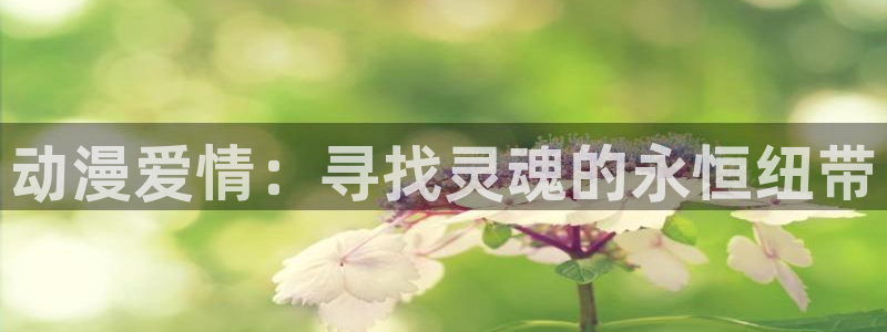 囧次元是哪个公司的：动漫爱情：寻找灵魂的永恒纽带