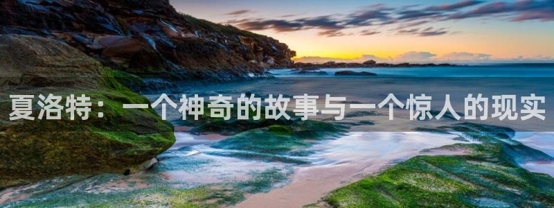 囧次元安卓版下载：夏洛特：一个神奇的故事与一个惊人的现实
