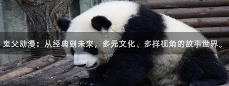 囧次元最新版官网下载