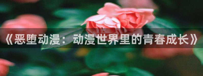 囧次元官网官网