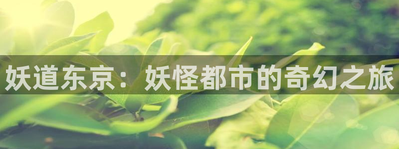 囧次元网页