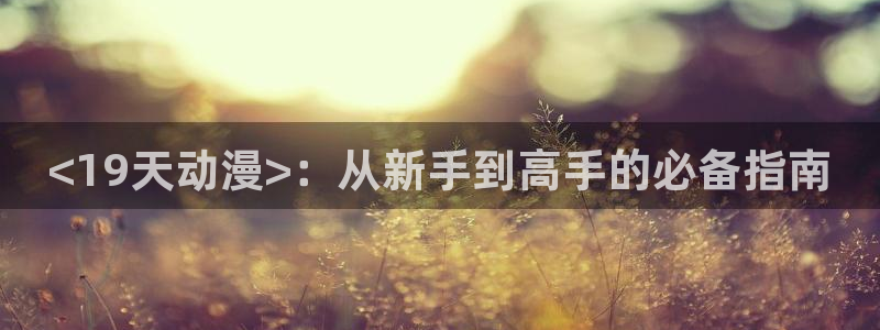 囧次元app下载官方正版
