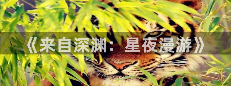 囧次元新版本下载