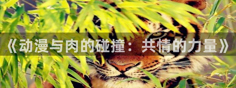 囧次元app官方下载入口