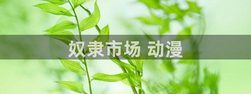 囧次元下载入口