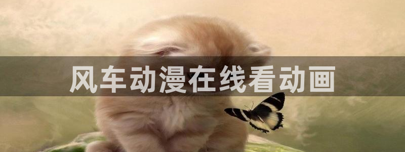 囧次元下载安装