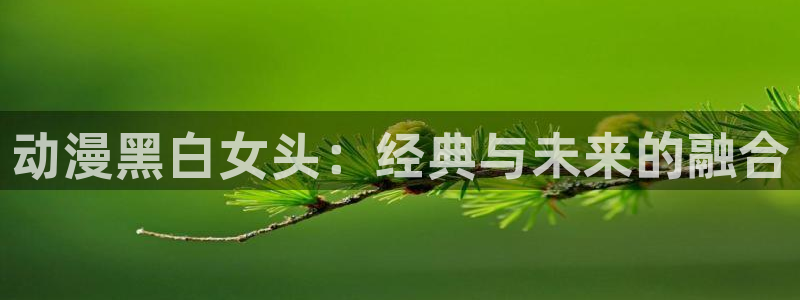 囧次元动漫官网入口下载