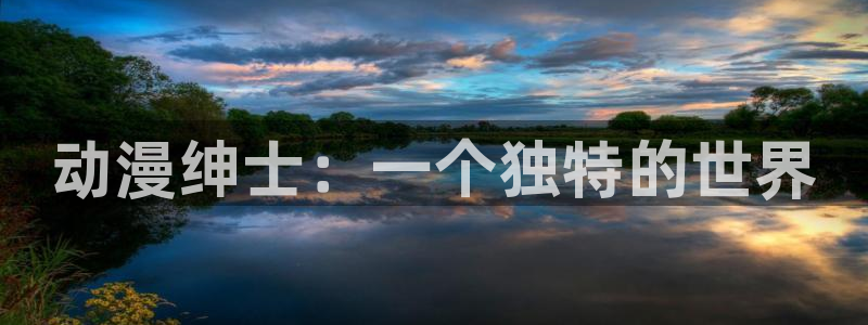 囧次元为什么打不开了