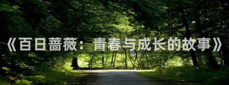 囧次元官网入口下载最新版