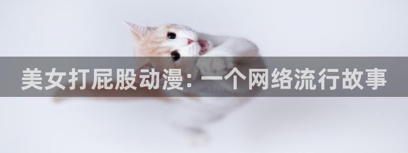 囧次元app官方