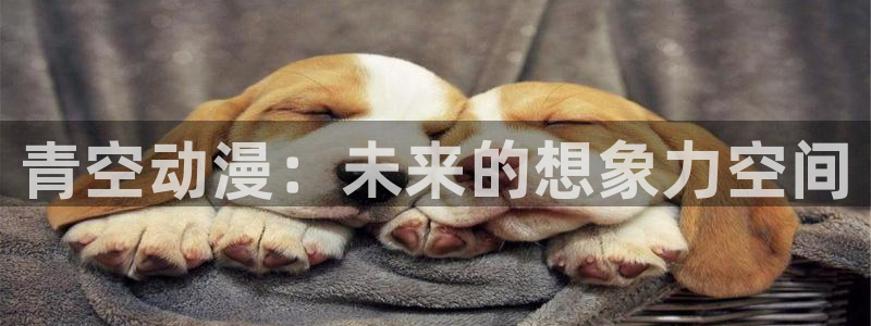囧次元官方官网入口最新：青空动漫：未来的想象力空间