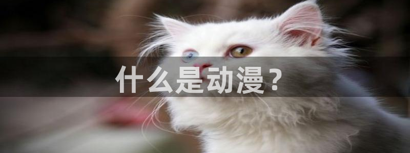 囧次元在哪下